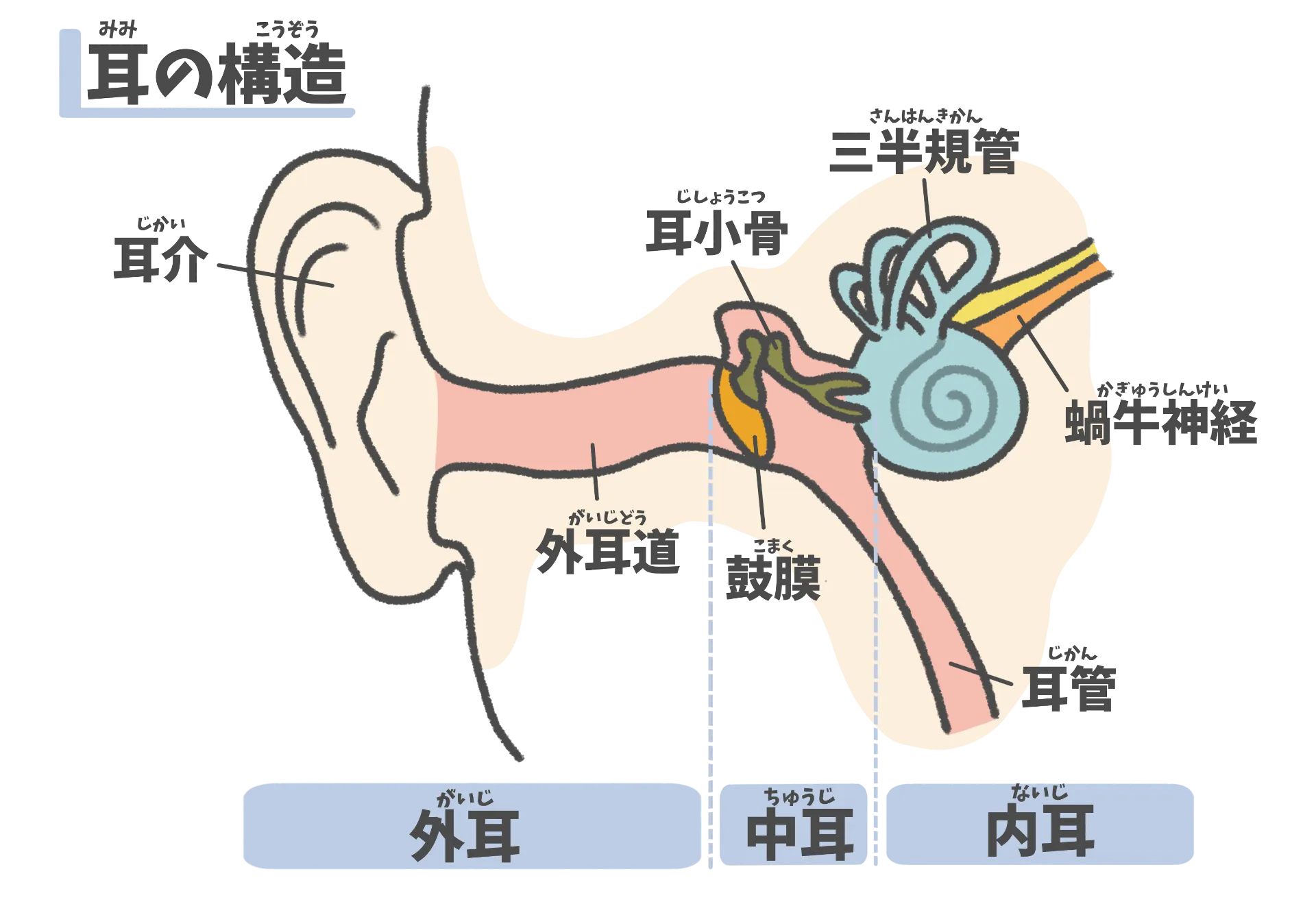 頭痛が辛い梅雨の季節！低気圧で起きる不調と対処法