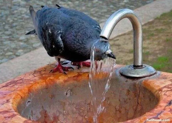 その夏バテ、本当に“内臓疲れ”？